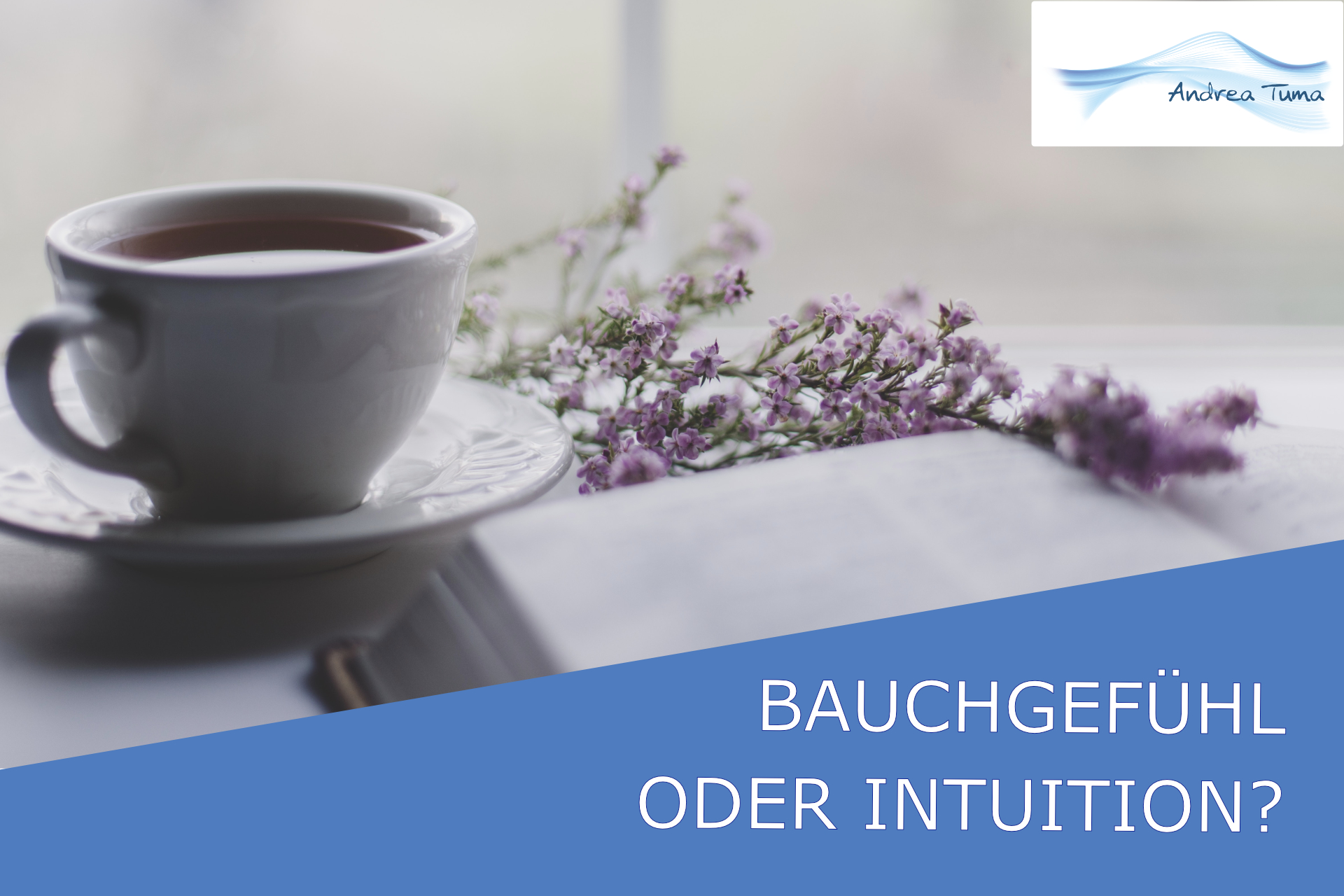 Bauchgefühl oder Intuition Podcast